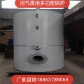 沼气锅炉