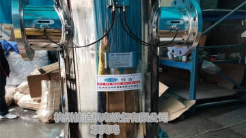蒸汽过滤器 高温气体过滤钛棒过滤器不锈钢过滤器
