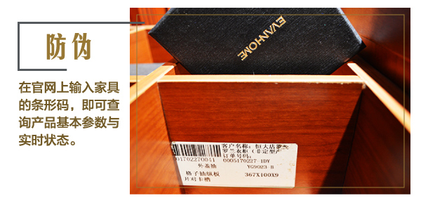 丽博罗曼罗兰衣柜