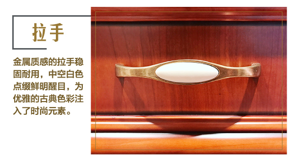 丽博罗曼罗兰衣柜