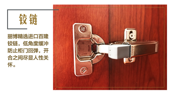 丽博罗曼罗兰衣柜