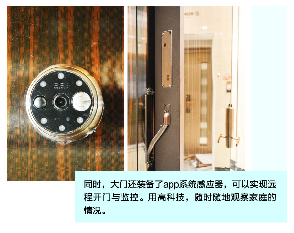荣高卡地亚系列入户门精湛工艺智能性
