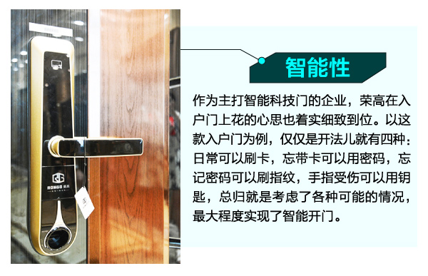 荣高卡地亚系列入户门精湛工艺智能性