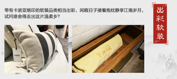 家居热线 卡诺亚 测评 烟雨江南 新中式 陈碧淇BK