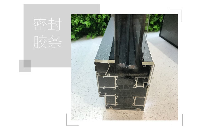 1542090949298360.jpg -帕莱德-01_12.jpg