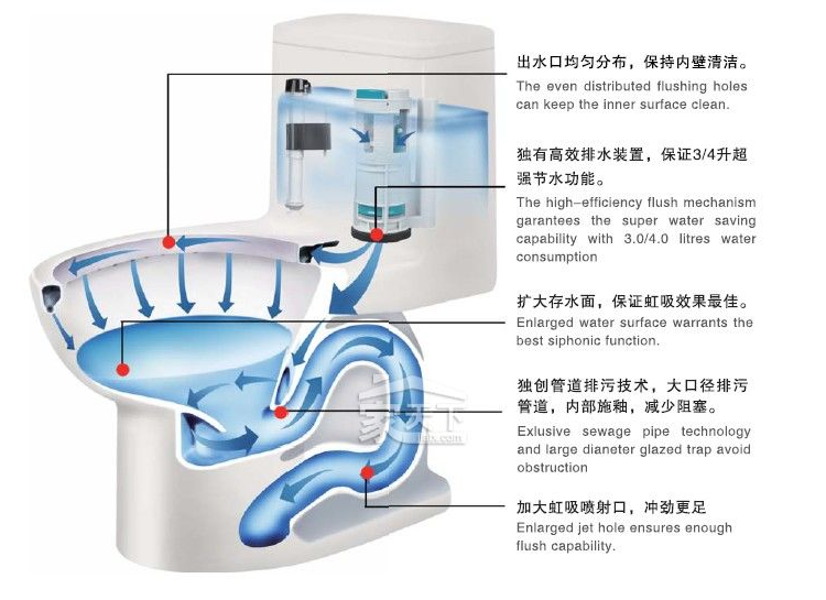 虹吸马桶结构图展示  