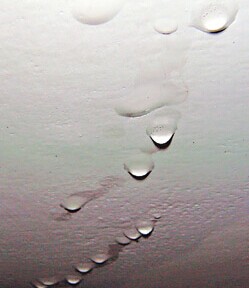 屋顶漏水怎么办 