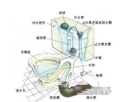 马桶内部结构是怎样的 马桶内部结构是怎样的