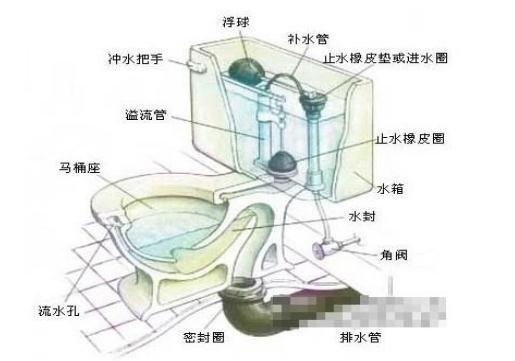 马桶原理图小知识介绍 马桶原理图小知识介绍