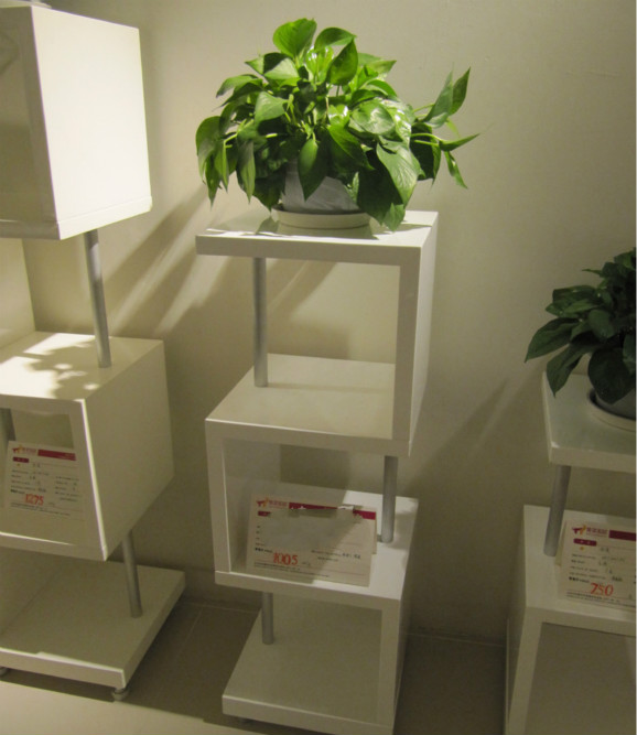室内花架好不好 