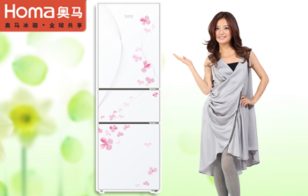 马冰箱价格介绍
