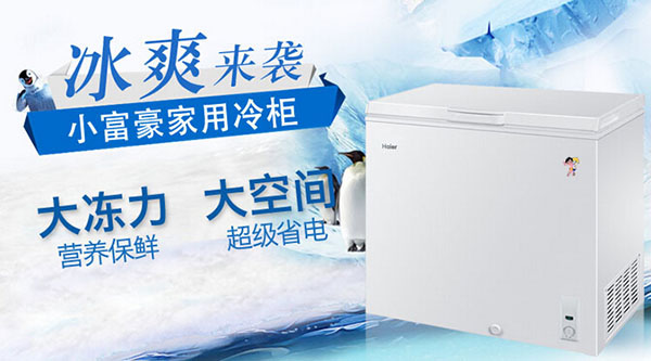 冰柜什么牌子好 冰柜品牌介绍
