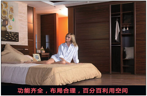 衣柜门图片大全一览