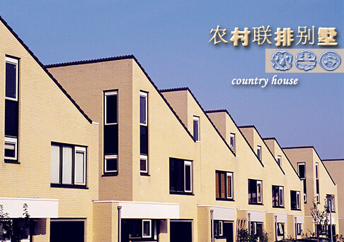 农村联排别墅户型图欣赏