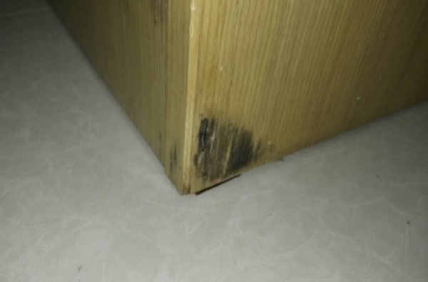 家具发霉怎么办 处理办法介绍