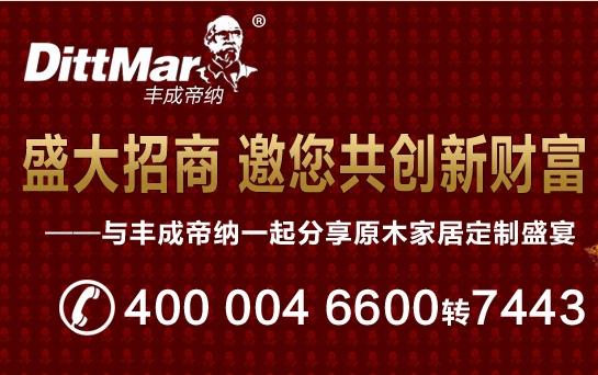 丰成帝纳招商 5大优势领跑定制市场