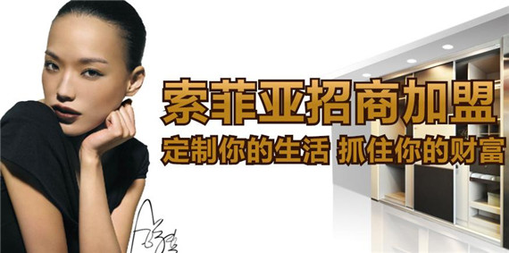 索菲亚衣柜招商 领导品牌，大单不断