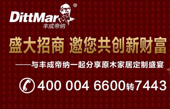 加盟丰成帝纳 共创财富新世界