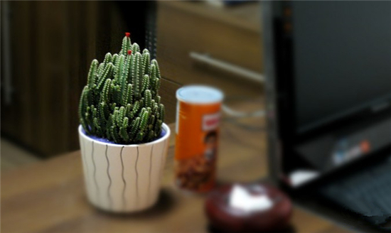 装修除味有哪些方法 