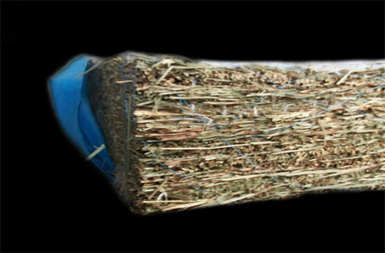 乌拉草床垫怎么样 