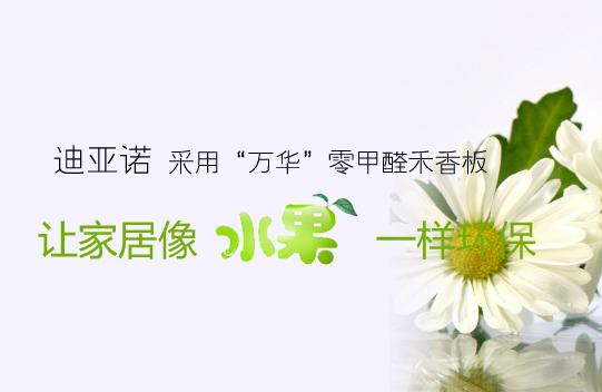 加盟迪亚诺 喜看前程花似锦
