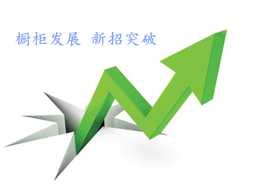 功能研发、产品组合优化 成橱柜企业新突破点