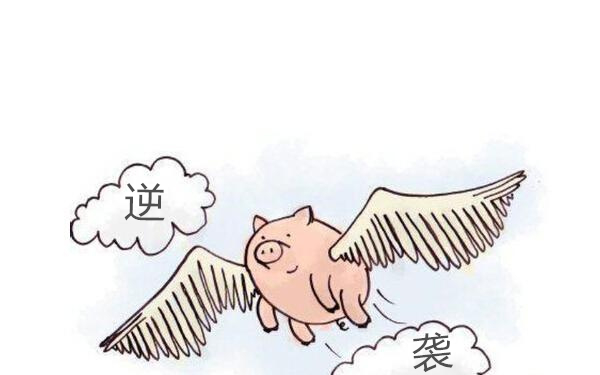 中小墙纸企业弊病多,拿什么逆袭? 中小墙纸企业弊病多,拿什么逆袭?