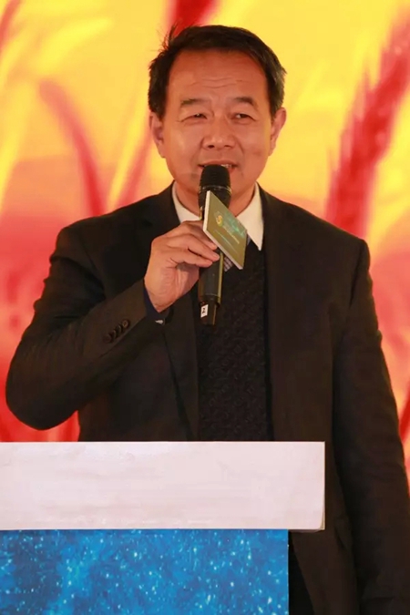大信厨房庞学元：设计必须要有“根”