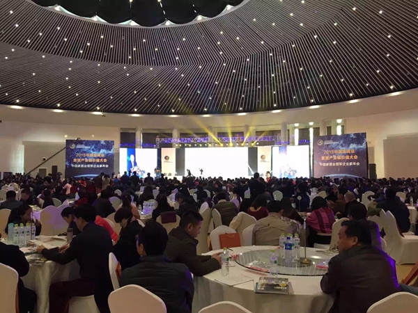 第十届中国橱柜行业年会隆重开幕