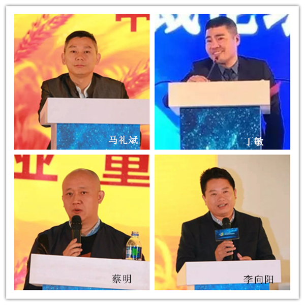 2015中国橱柜行业年会:十年风雨,十年精彩 2015中国橱柜行业年会:十年风雨,十年精彩