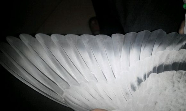 家居行业重点关注的流行色彩! 家居行业重点关注的流行色彩!
