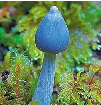 蓝瘦香菇 换季时怎样的鞋柜最适合收纳？