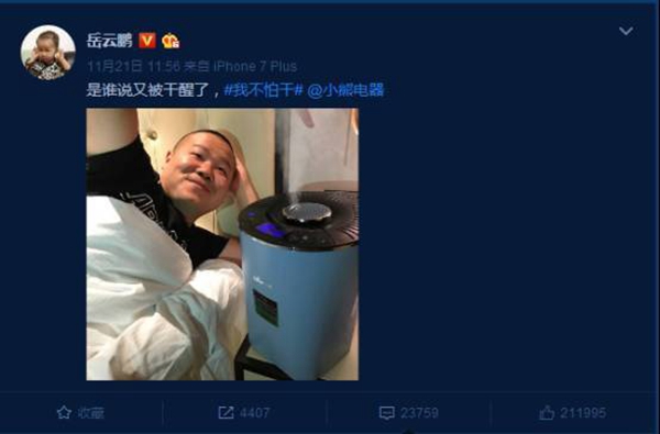 双十二保鲜营销再创佳绩 小熊电器创电商营销新趋势