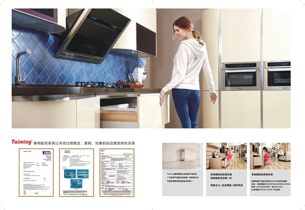泰明集团:为振兴民族品牌而奋斗 泰明集团:为振兴民族品牌而奋斗