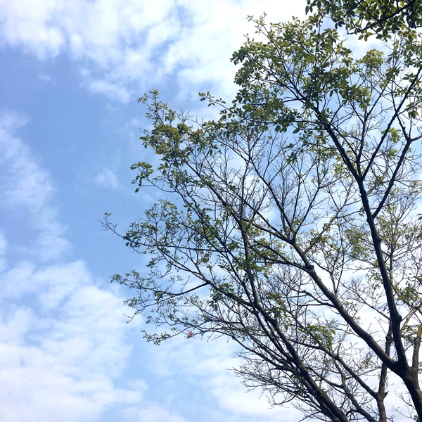 画美不看：奔跑吧！慧亚万米长跑庆元宵