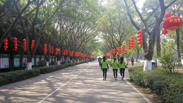 画美不看：奔跑吧！慧亚万米长跑庆元宵
