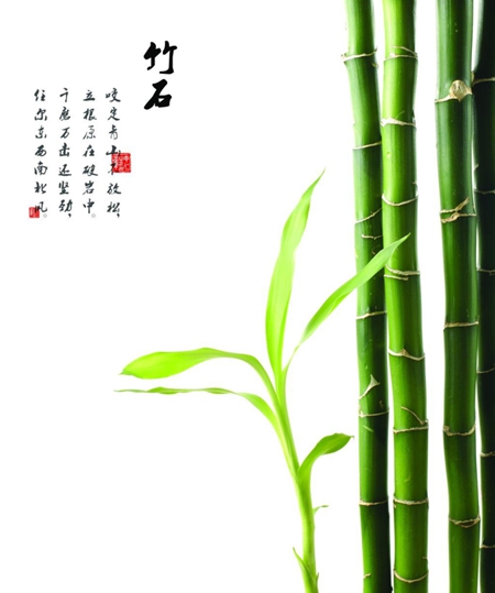 顶固竹香板正式上市,“竹”已改变您的生活 顶固竹香板正式上市,“竹”已改变您的生活