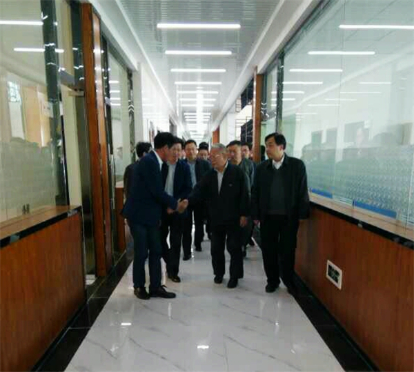 省领导参观湖北亚丹家居绿色环保项目