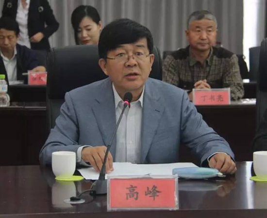 中国模板脚手架协会第二届铝模板产业发展联盟会议隆重召开