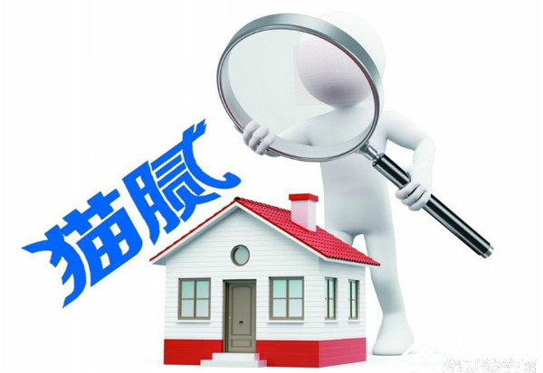 装修暗藏猫腻，“门外汉”苦不堪言