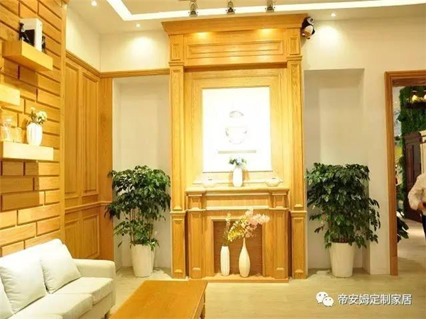 行业大咖齐聚帝安姆全屋定制展会现场 高颜值展馆秀出品牌魅力