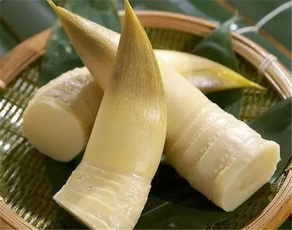 新悦“德式智慧 定制森活5·1欢乐送” 万份生态礼品到底送什么？大家来投票表决吧