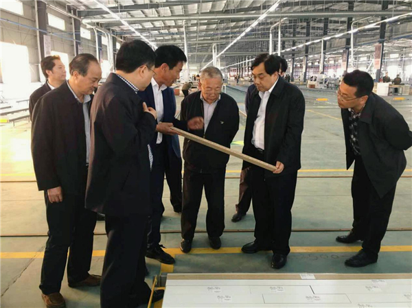 省领导参观湖北亚丹家居绿色环保项目