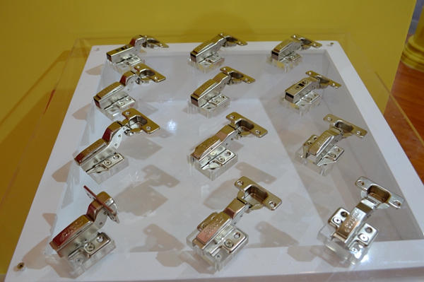 亚当斯廖总：品牌升级年，新型组合展示柜强势推出