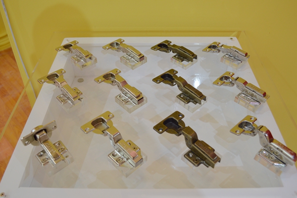 亚当斯廖总：品牌升级年，新型组合展示柜强势推出