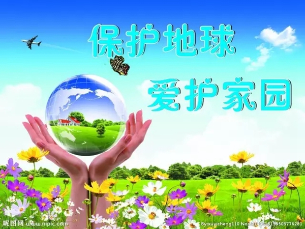 以企业责任的名义:用科技创新守护原始森林! 以企业责任的名义:用科技创新守护原始森林!