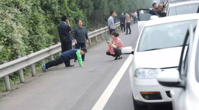 美萨门窗：堵了，停下来陪陪“大白”吧！ 