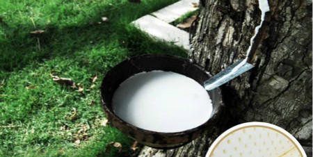 辨别真假东南亚乳胶有多难？