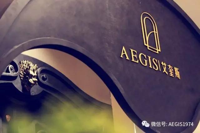 艾奎斯别墅庭院门楼梯：业主真正喜欢的店面“文化，典雅”