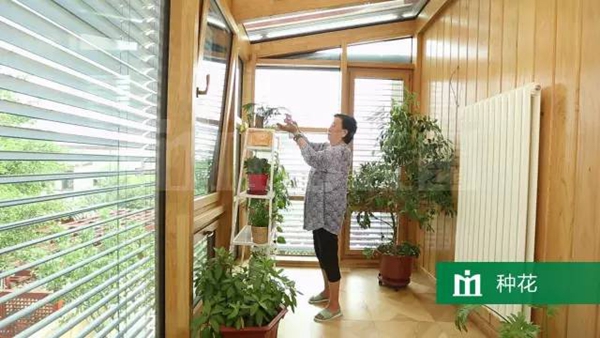 米兰之窗：李老师的阳光生活